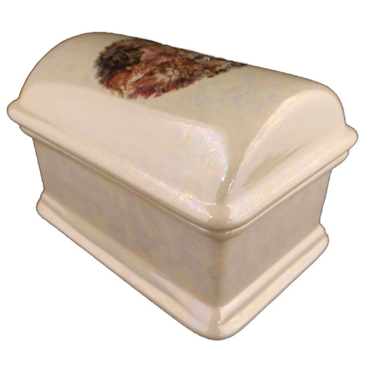 Angled view of the Cat Collage Treasure Chest Keepsake